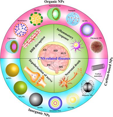 Nanoparticles: A Hope for the Treatment of Inflammation in CNS